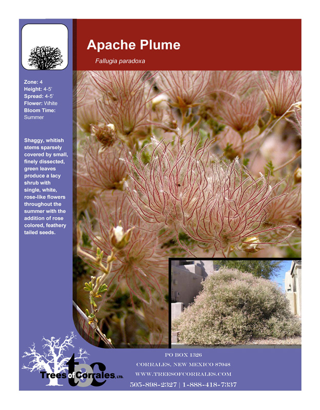 Full Product List Wholesale Plant Nursery Albuquerque