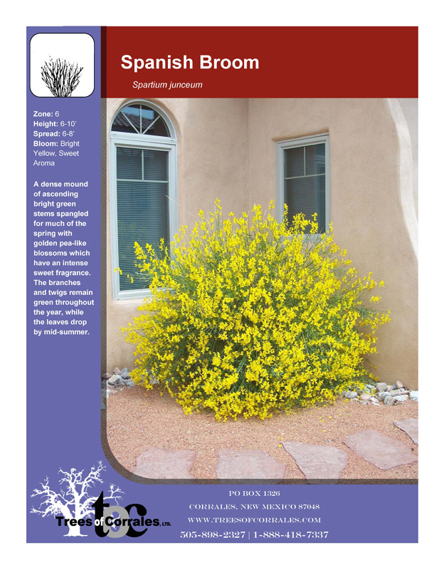 Full Product List Wholesale Plant Nursery Albuquerque