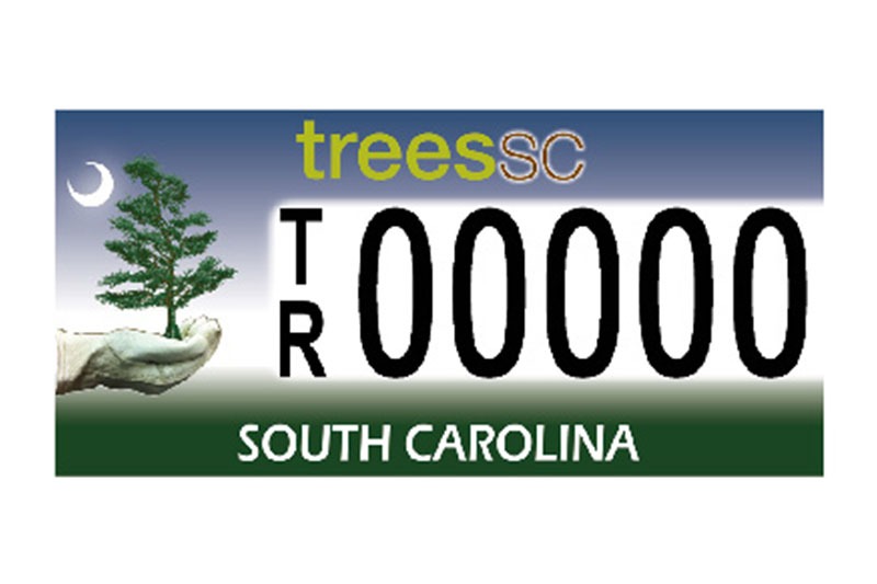 License Plate Trees SC