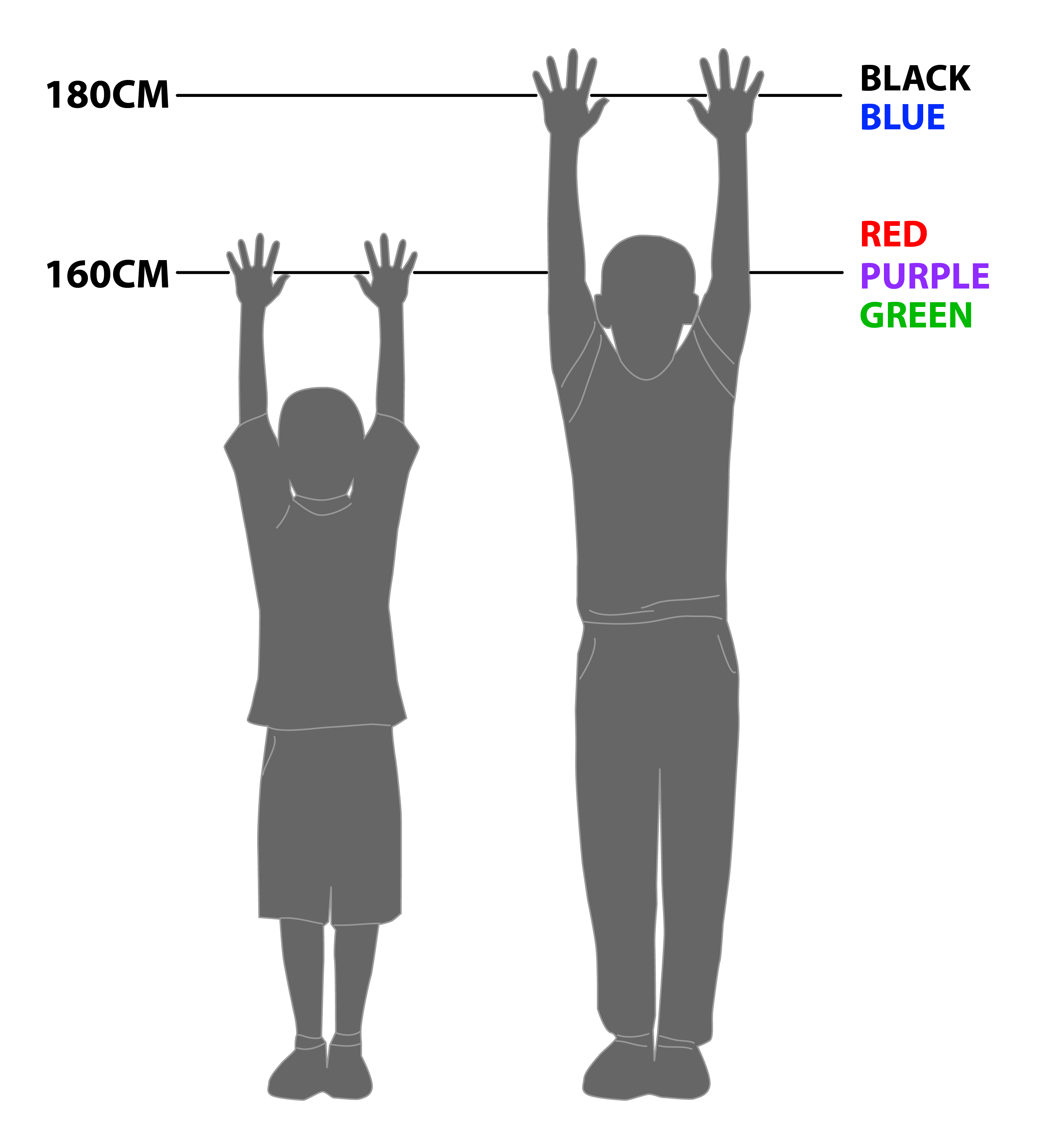 TreeTop Challenge Sunshine Coast Big Pineapple Adventure Park