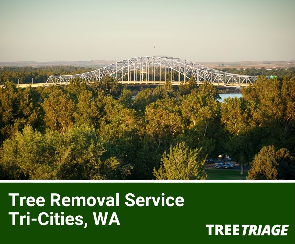 Tree Removal In TriCities, WA 2021 Top Rated