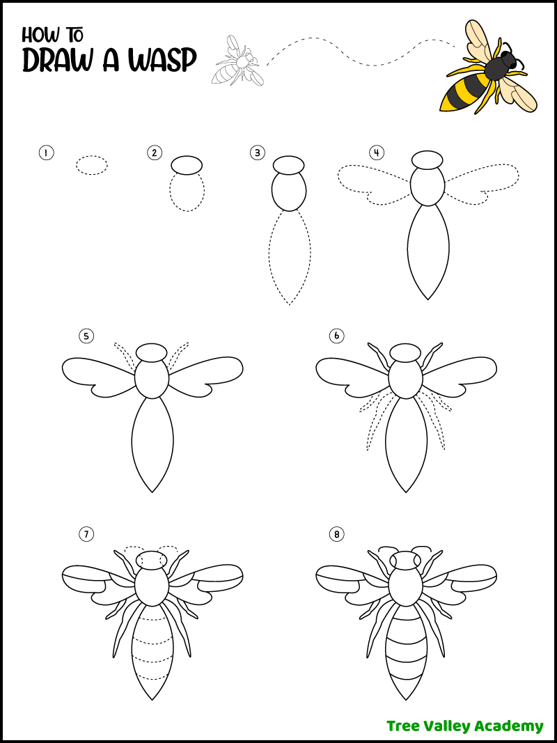 How to Draw A Wasp Tree Valley Academy