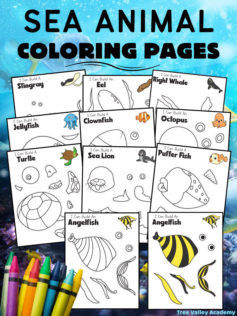 Ocean Animals Coloring Page