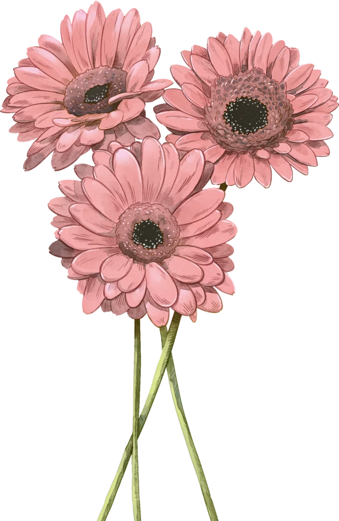 Flower Show game from Trefl