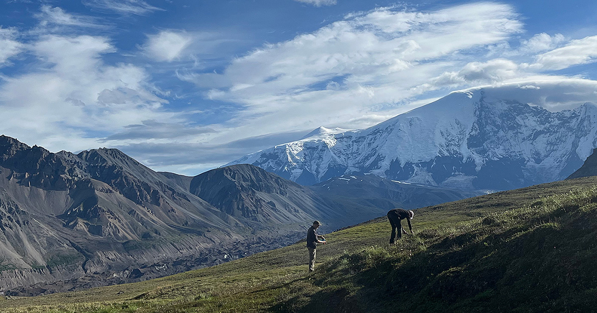 Trek Alaska Hiking and Backpacking Blog
