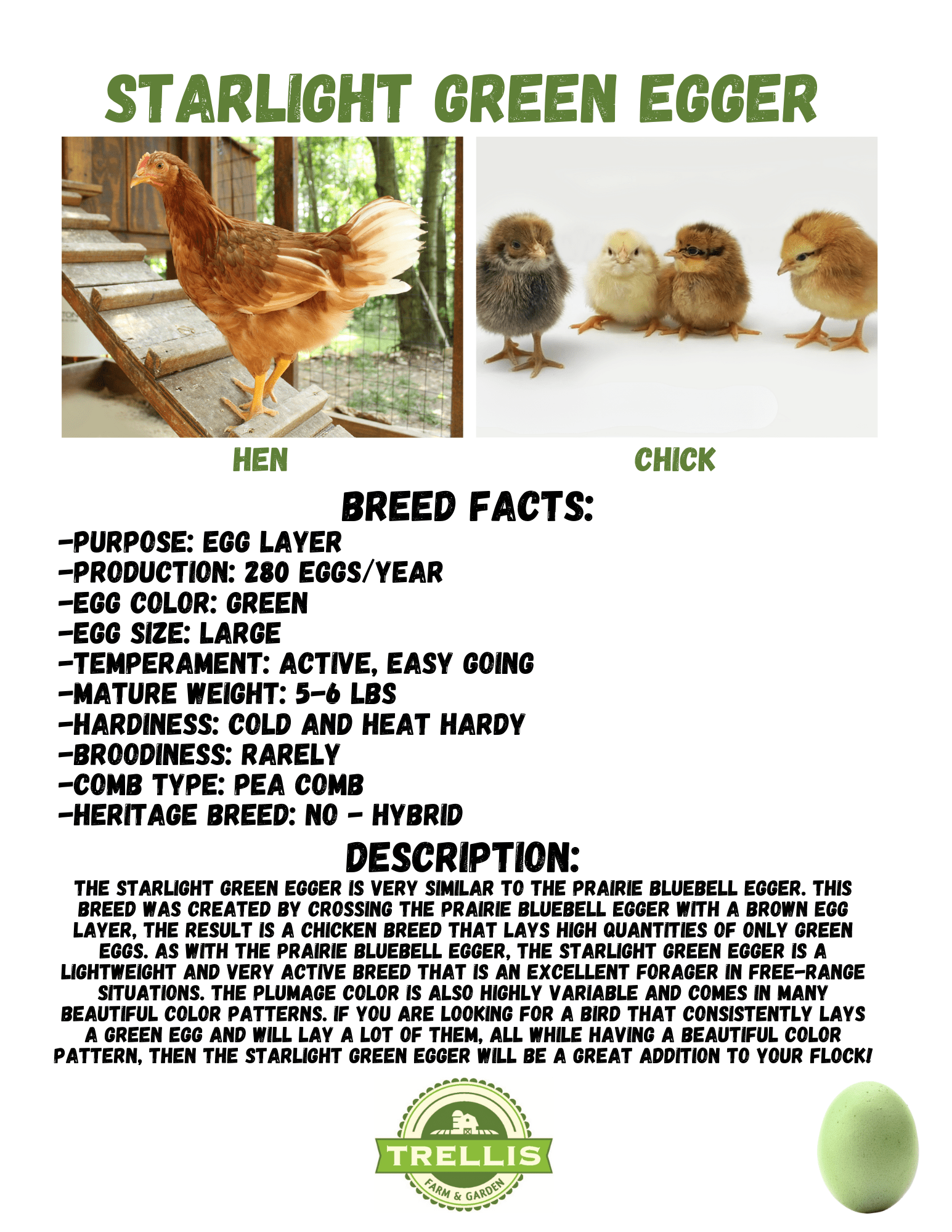 Order Poultry — Trellis Farm & Garden