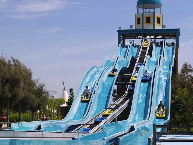 Zoomarine entra in Dolphin Discovery