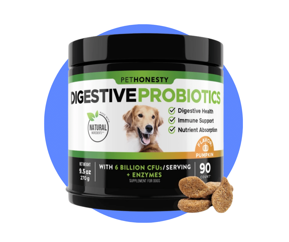 5 Best Dog Probiotics 2024 Soft Chews Probiotic Supplements for Pets
