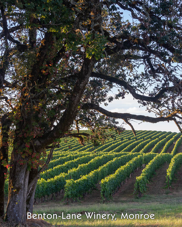 TriCounty Chamber of Commerce Chamber of Commerce for Junction City