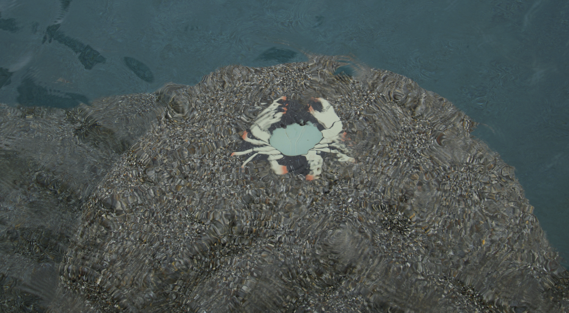 Benefits of Outdoor Mosaics