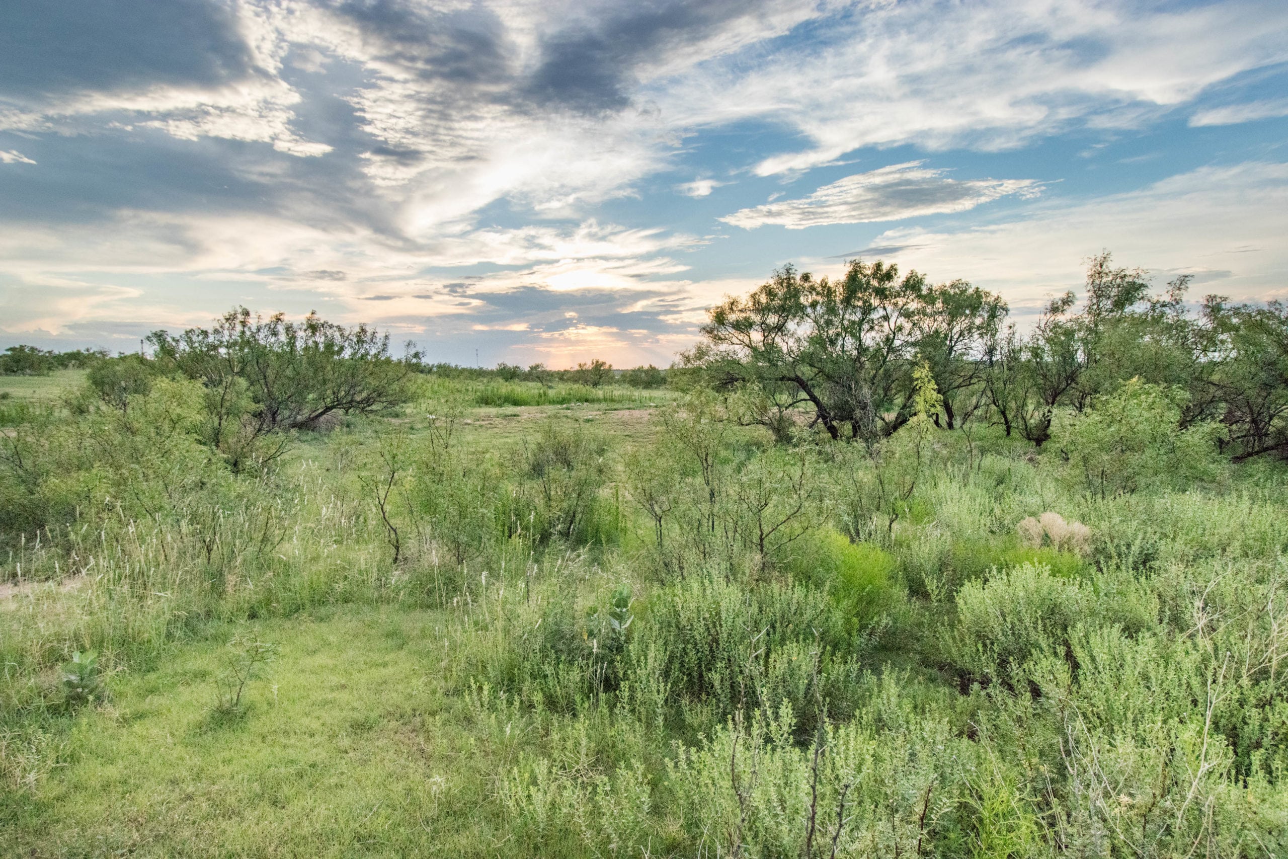 Broken Diamond Ranch, TX Triangle Realty