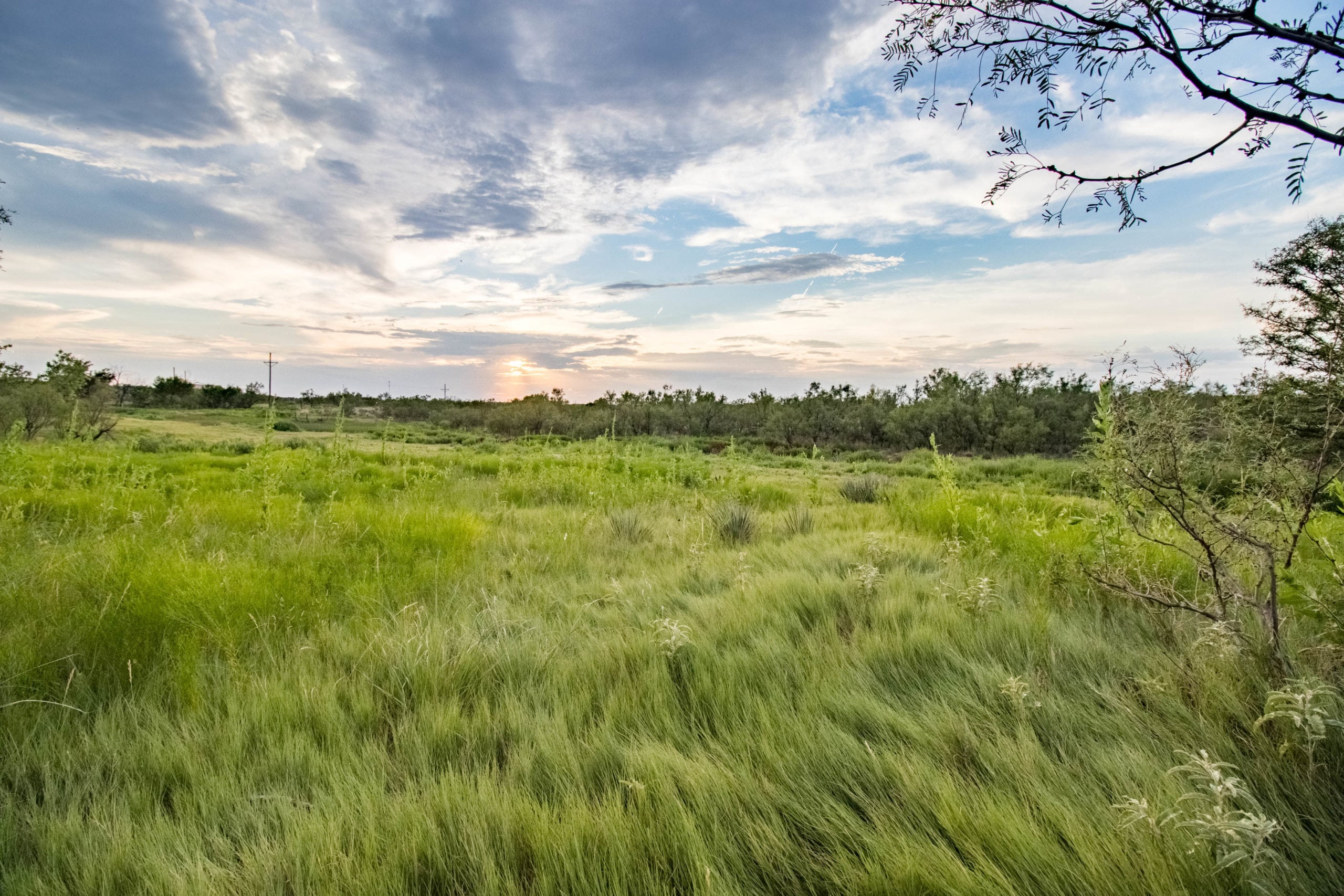 Broken Diamond Ranch, TX Triangle Realty