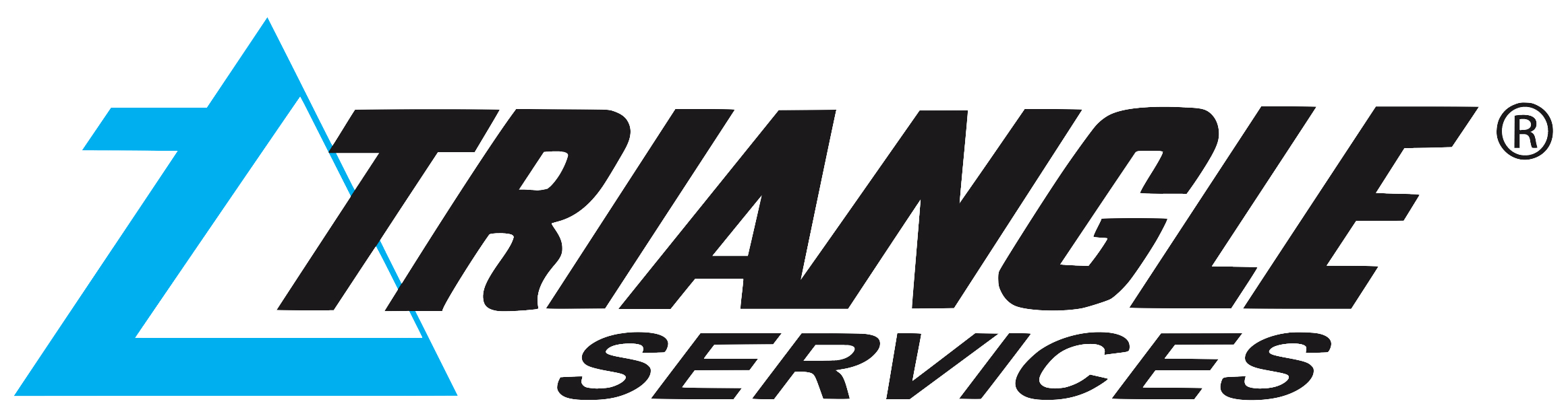 Triangle Services Careers