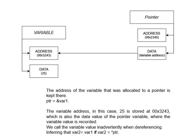 How to Dereference a CHAR Pointer in C? Tricky Edu