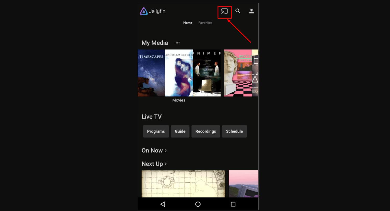 How to Chromecast Jellyfin with Smartphone and PC?