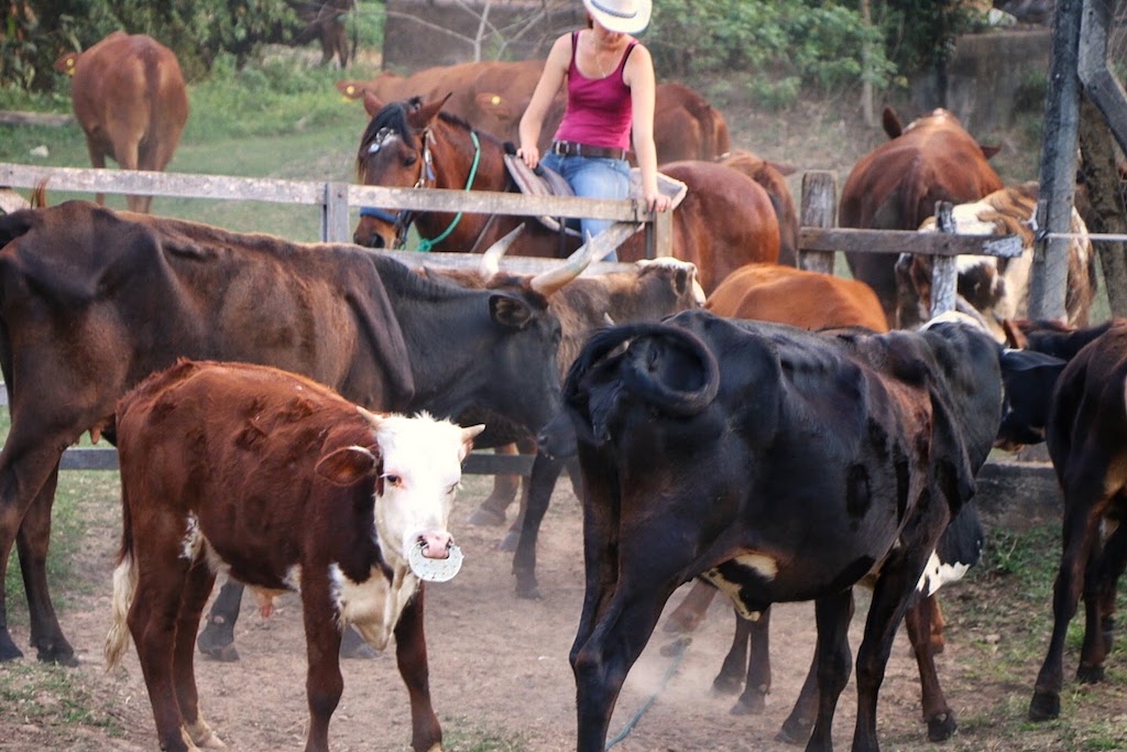Paraguay Ranch Experience Trico Tours