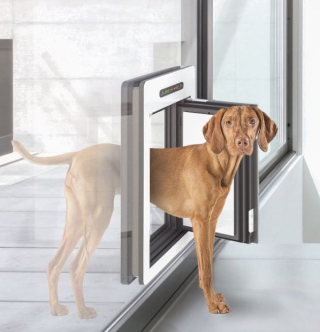 Trident Business Sales » Supply and Installation of Pet Doors, Same