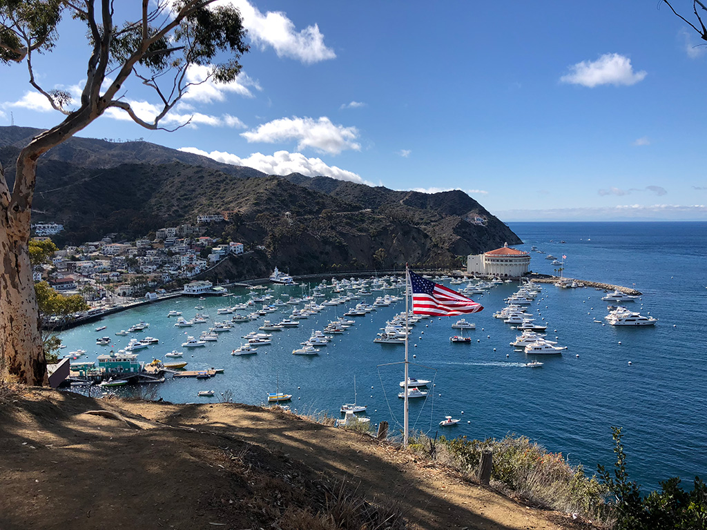 Visit Catalina Island Tried and True by Trista(04)