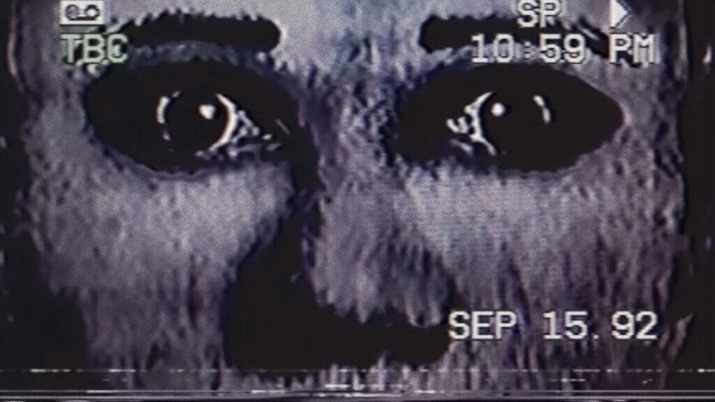 They're Right Behind You The Advent of Analog Horror Trill Mag