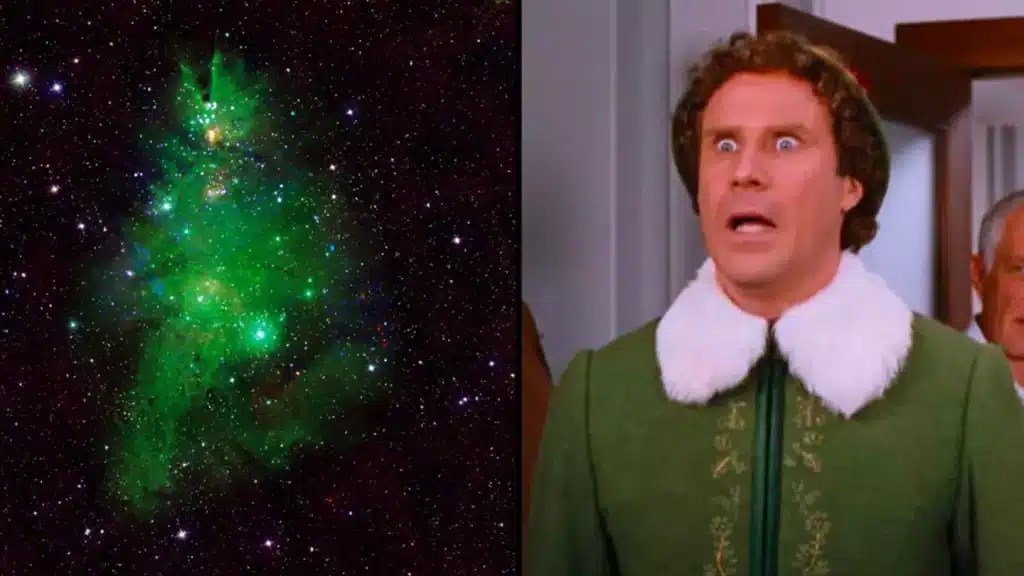 NASA Releases Photo of Christmas Tree Star Cluster Trill Mag