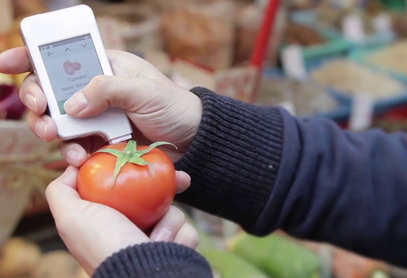 Fleet Management and Vehicle Tracking solution for an organic food