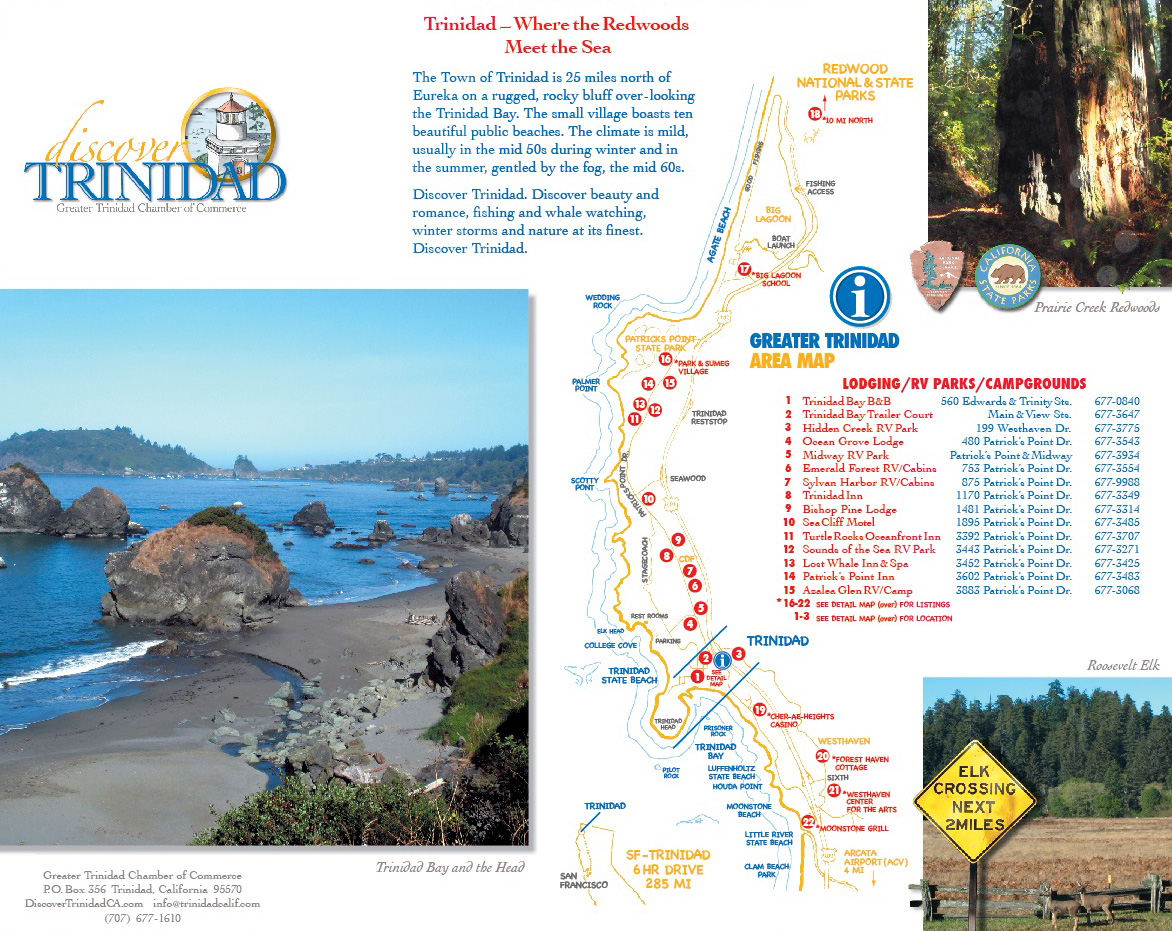 10 of the best nature photographs. Page 51