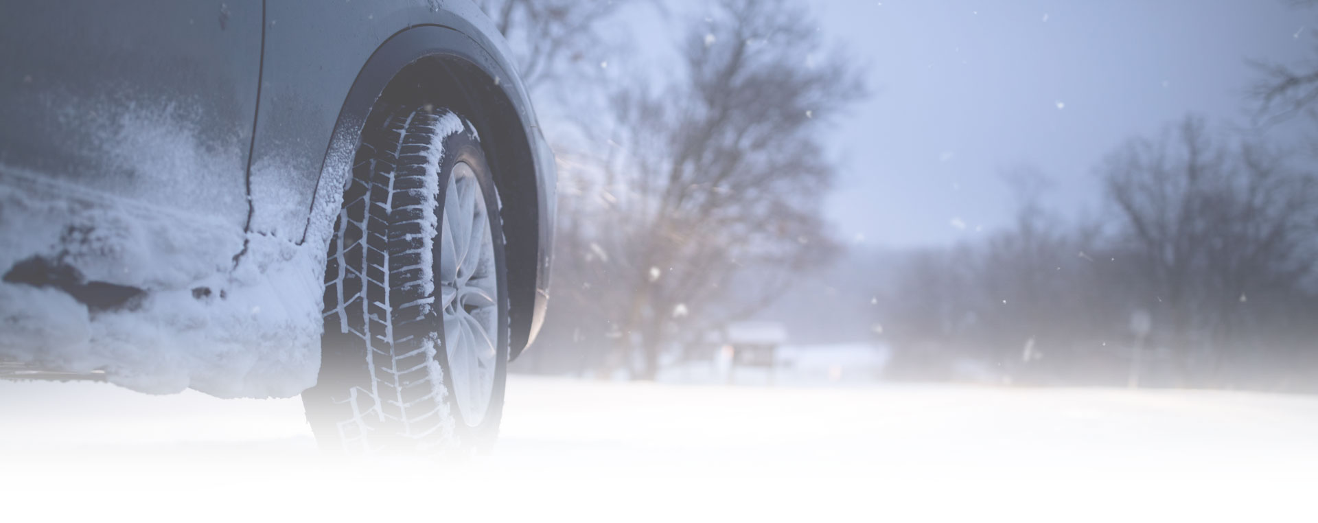 Stoney Creek Auto Repair Trinity Automotive