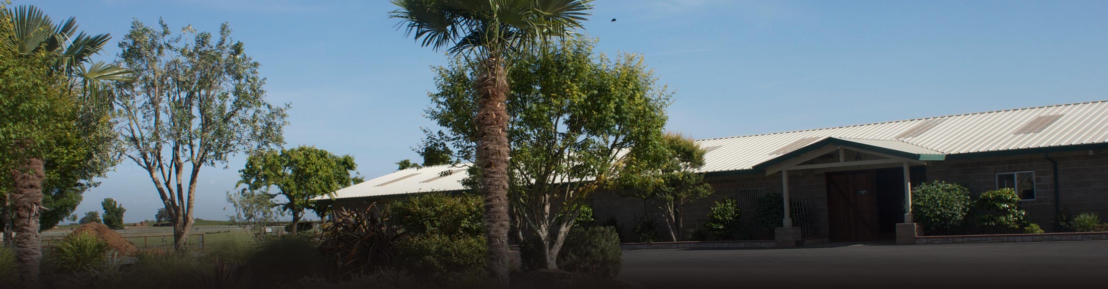 Trinity Ranches Lodi, CA Organic Hay Farms