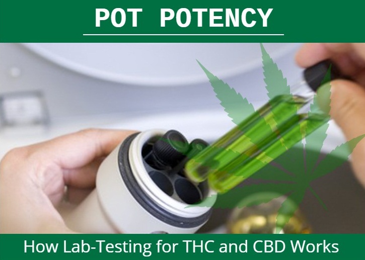 Pot Potency How LabTesting for THC and CBD Works Trionds