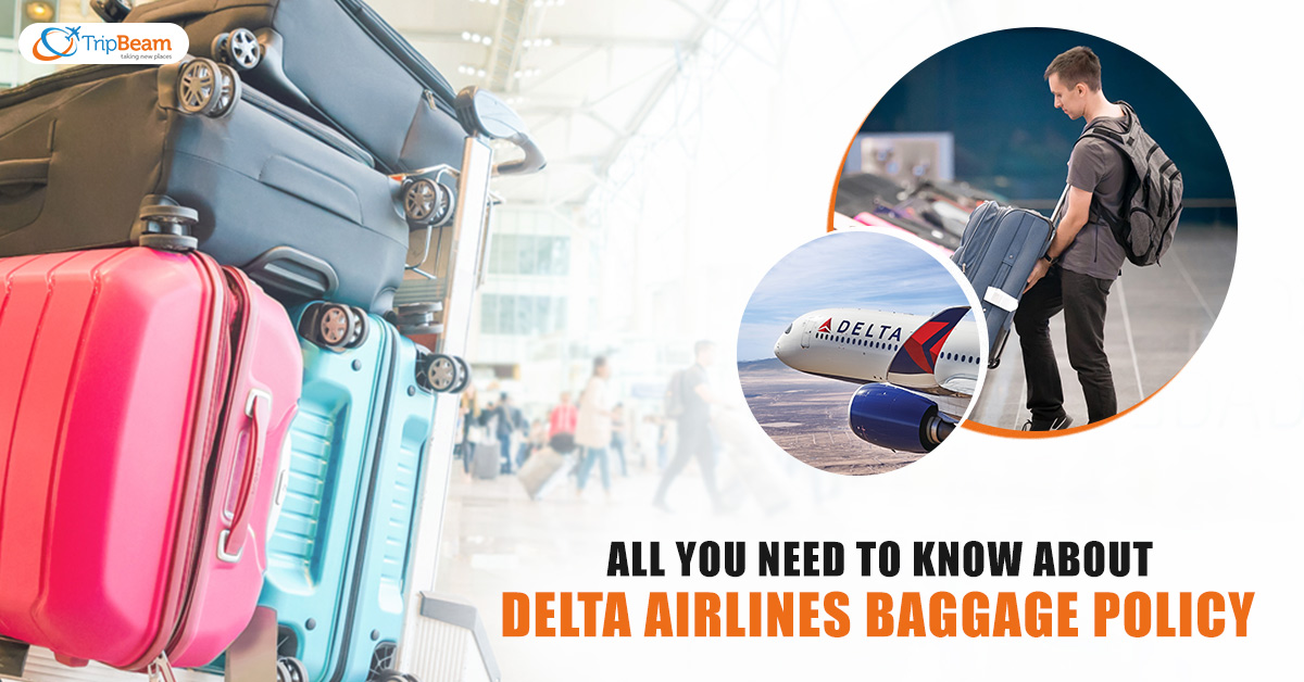 All You Need To Know About Delta Airlines Baggage Policy