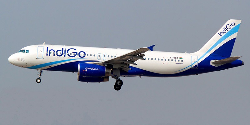 Indigo Airlines Tripbeam Com