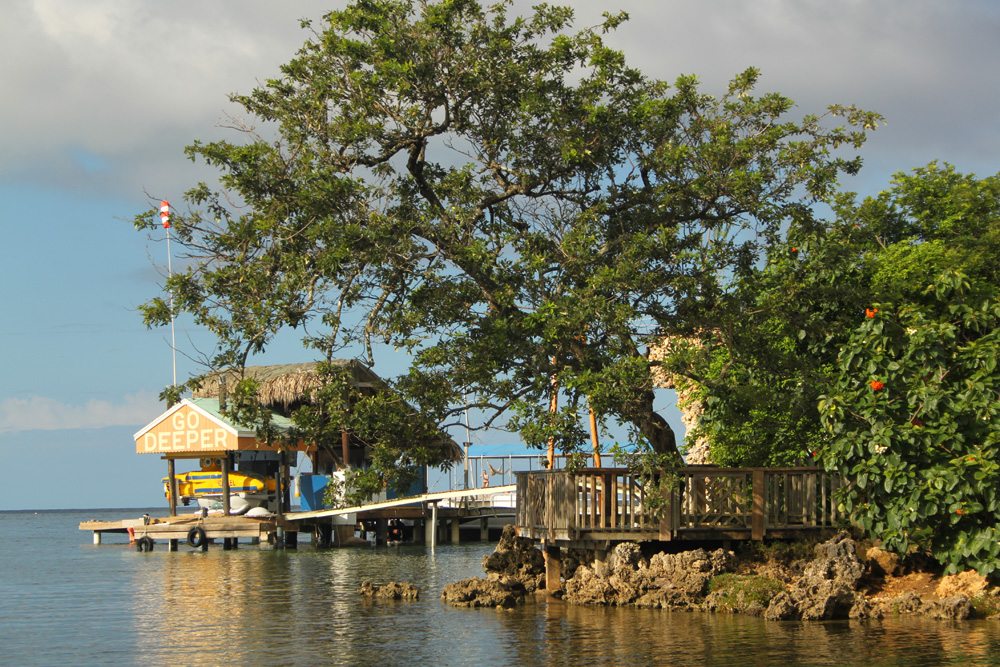 Your Guide to Roatan Scuba Diving Trip Sense tripcentral.ca