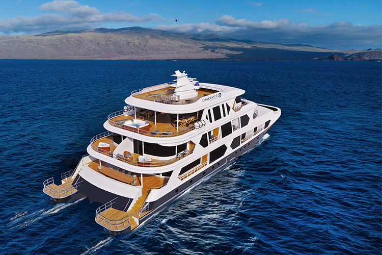 Cormorant II Catamaran Trip Harvest Premium Handcrafted Travel