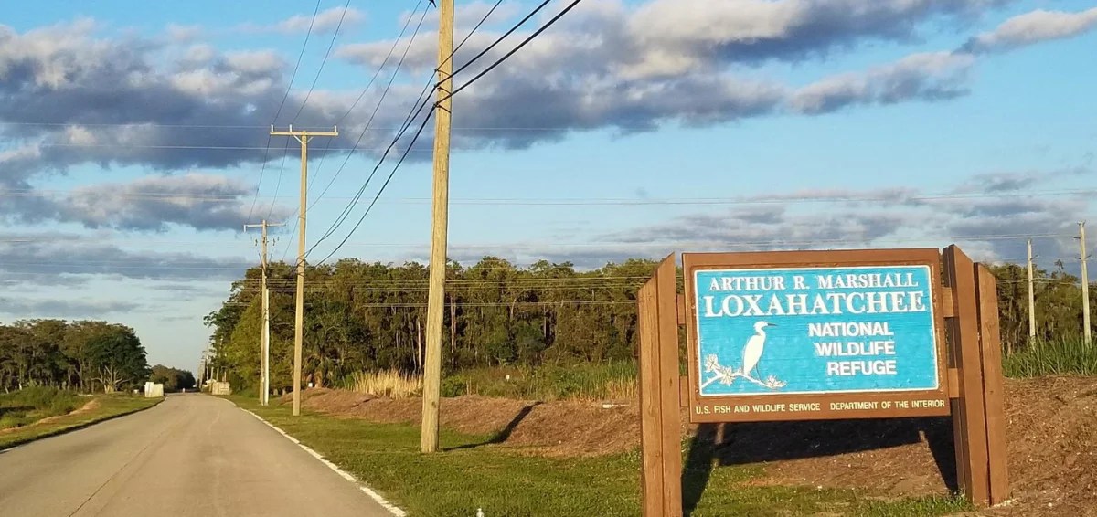 Top 13 Things To Do In Boynton Beach To Visit This Summer