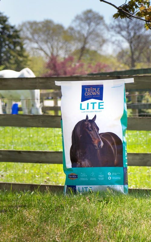 Lite Triple Crown Feed