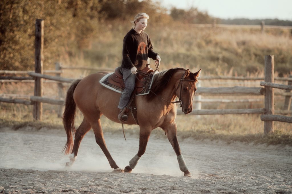TripleDRanch Quarterhorses und Westernreiten