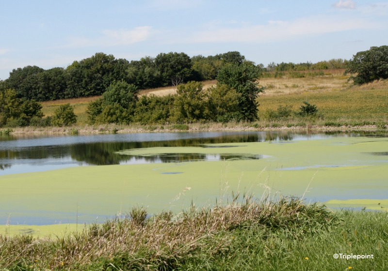 Wastewater Lagoon Blog Triplepoint Water TechnologiesWastewater Lagoon Solutions Triplepoint