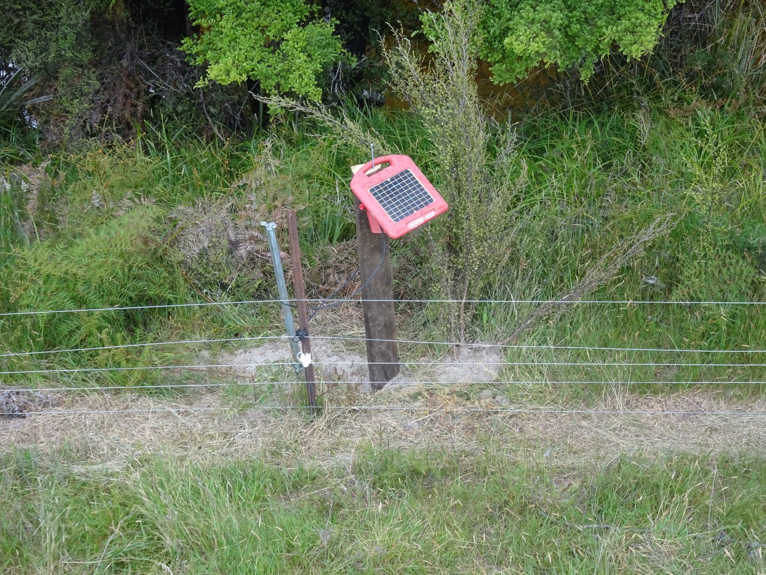 Electric Fence Nz / A Pigtail Rural Language Te Ara Encyclopedia Of New