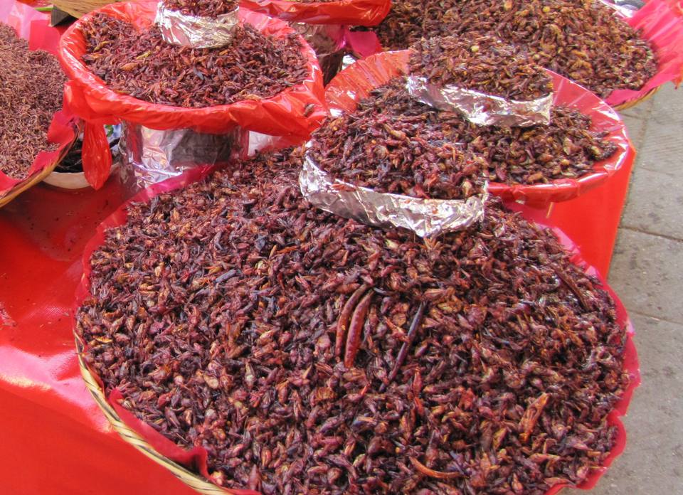 What to Eat and Drink in Oaxaca