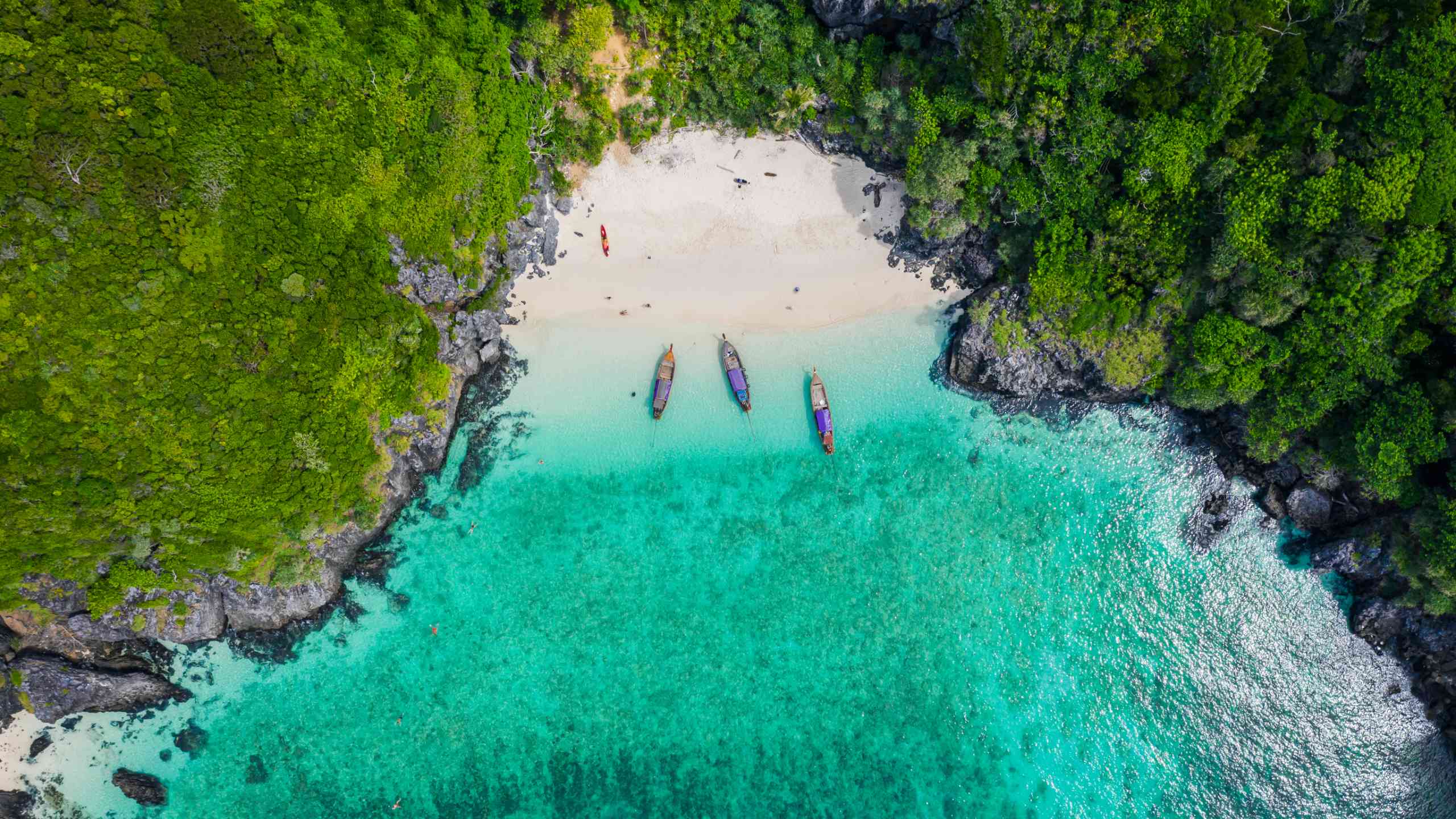 Phi Phi Islands by Speedboat Tripseed