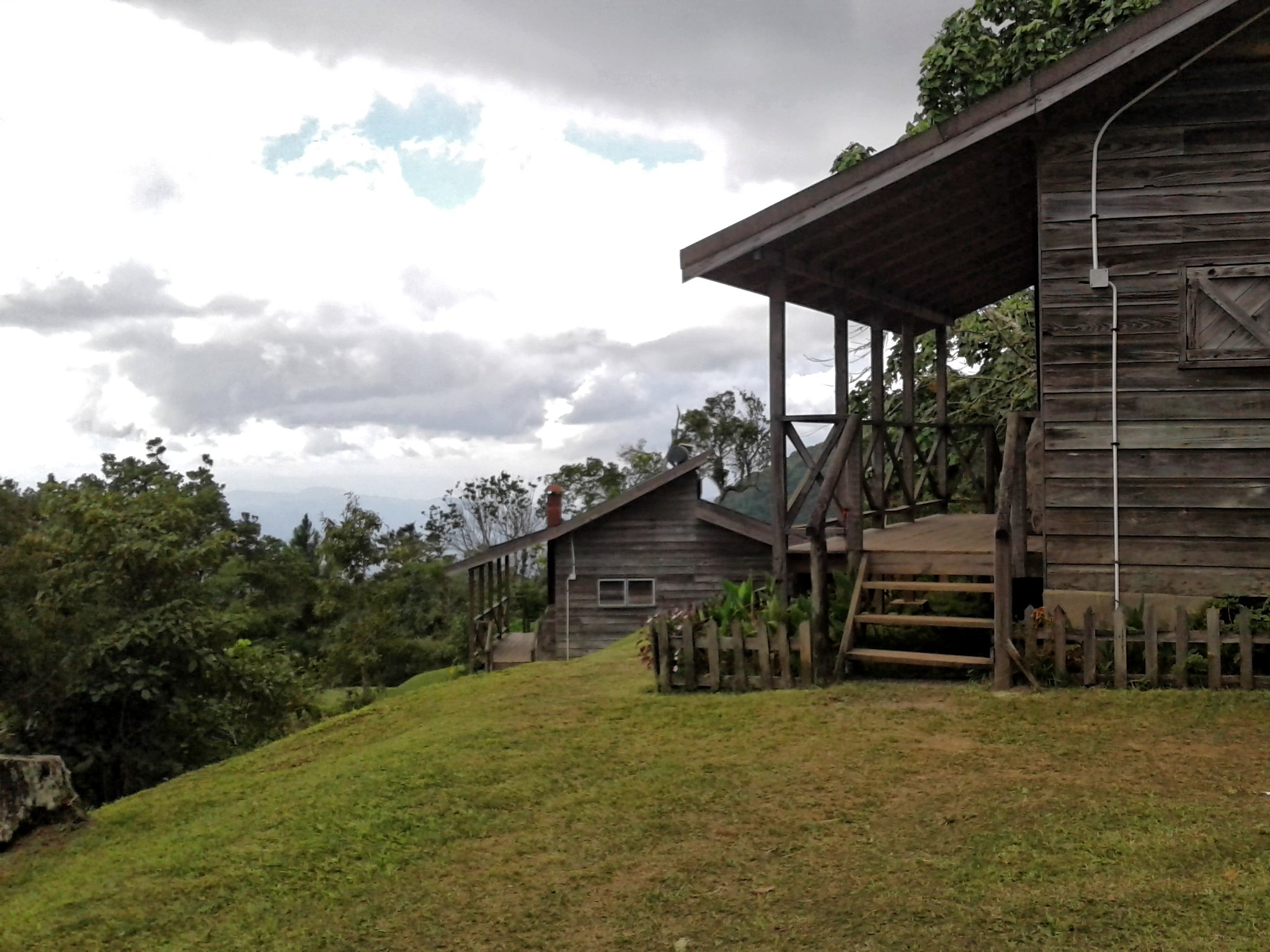 Visiting the Jamaican Blue Mountains