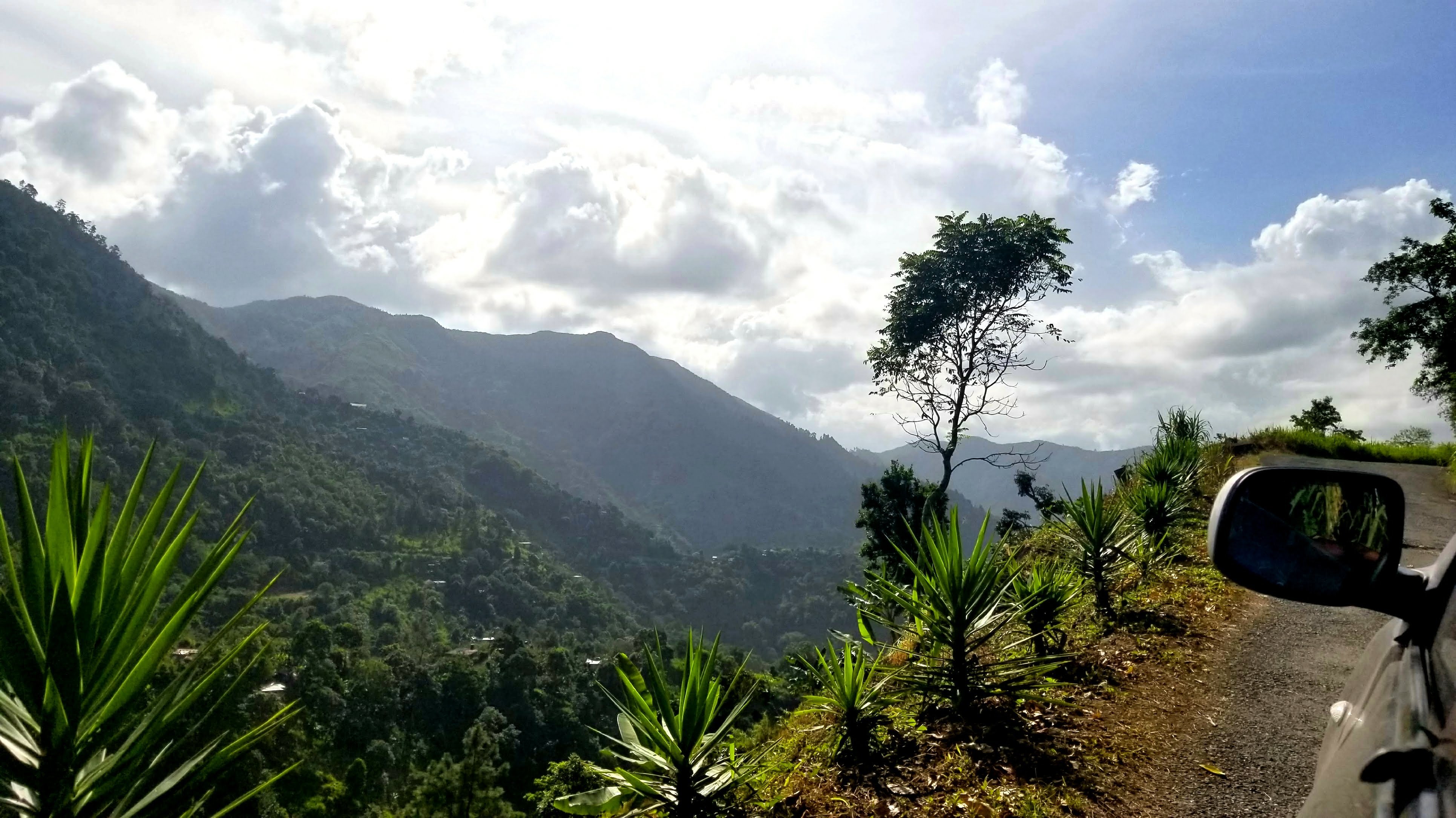 Visiting the Jamaican Blue Mountains