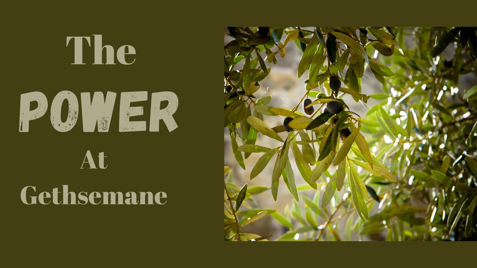 The Power at Gethsemane Trisha Dishes