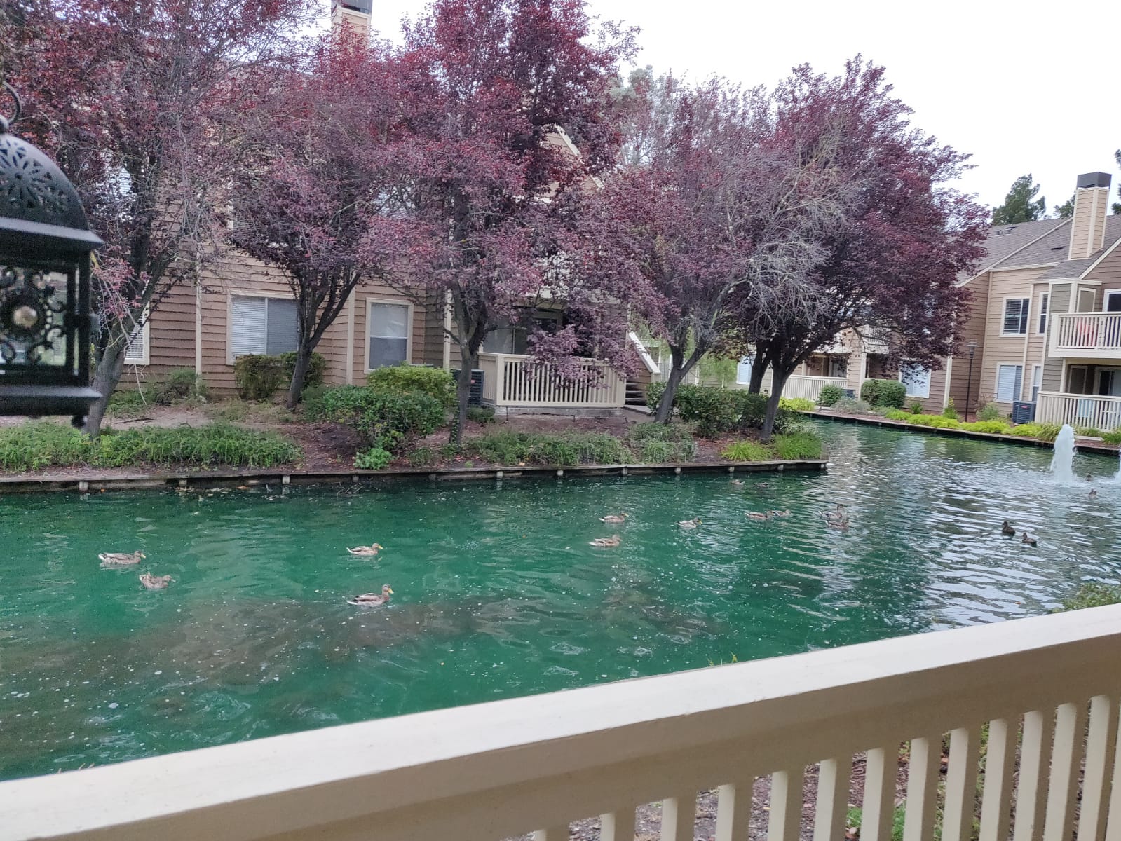 2BR2BA Apartment on lease 2689 per month Connecting people in San