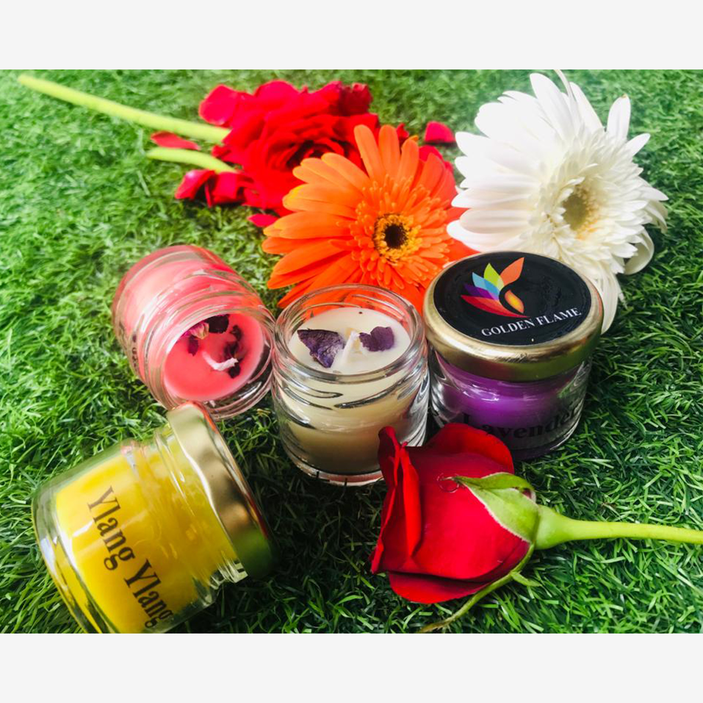 Buy Fragrance jar candle set of 5 Online Trogons