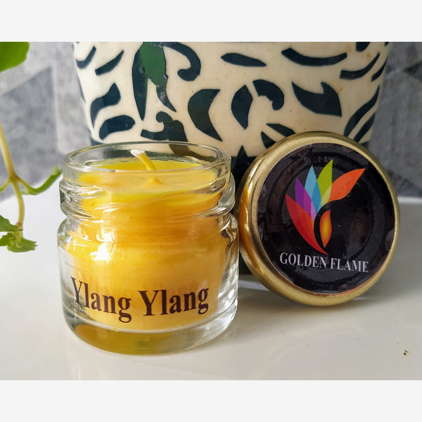 Buy Fragrance jar candle set of 5 Online Trogons