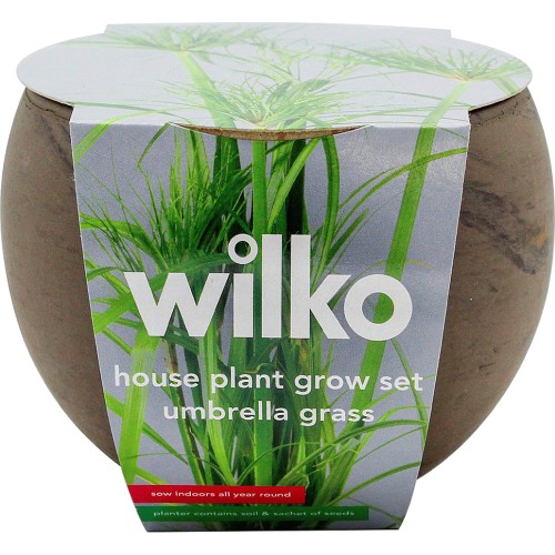 Wilko Dwarf Umbrella House Plant Grow Kit (13cm) Compare Prices