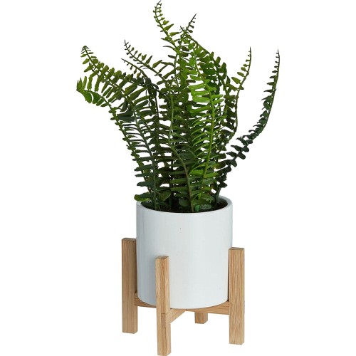 Wilko Faux Fern in White Pot Compare Prices & Where To Buy Trolley