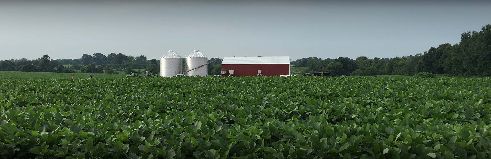 Illinois Ohio Valley Trophy Hunt Illinois Deer Hunting Lodge