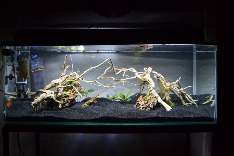 JPs 1.2m Tropical Aquariums SA